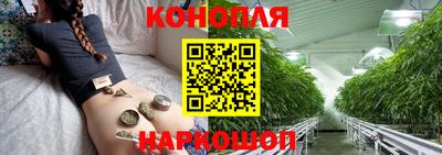 мяу мяу мука Усть-Джегута